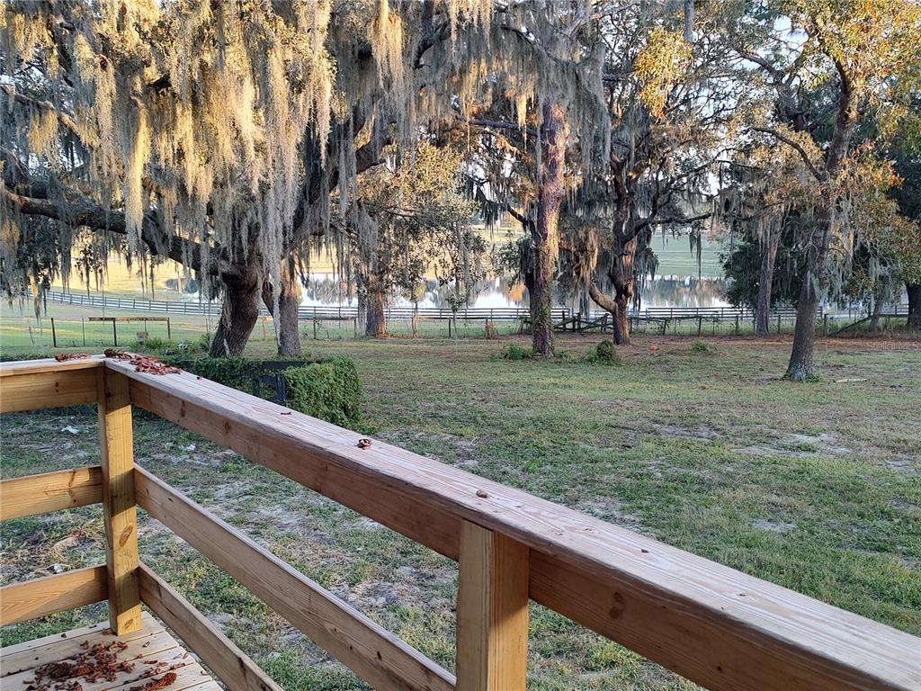 4432 Marion County Road Weirsdale, FL 32195 - Photo 32 of 72