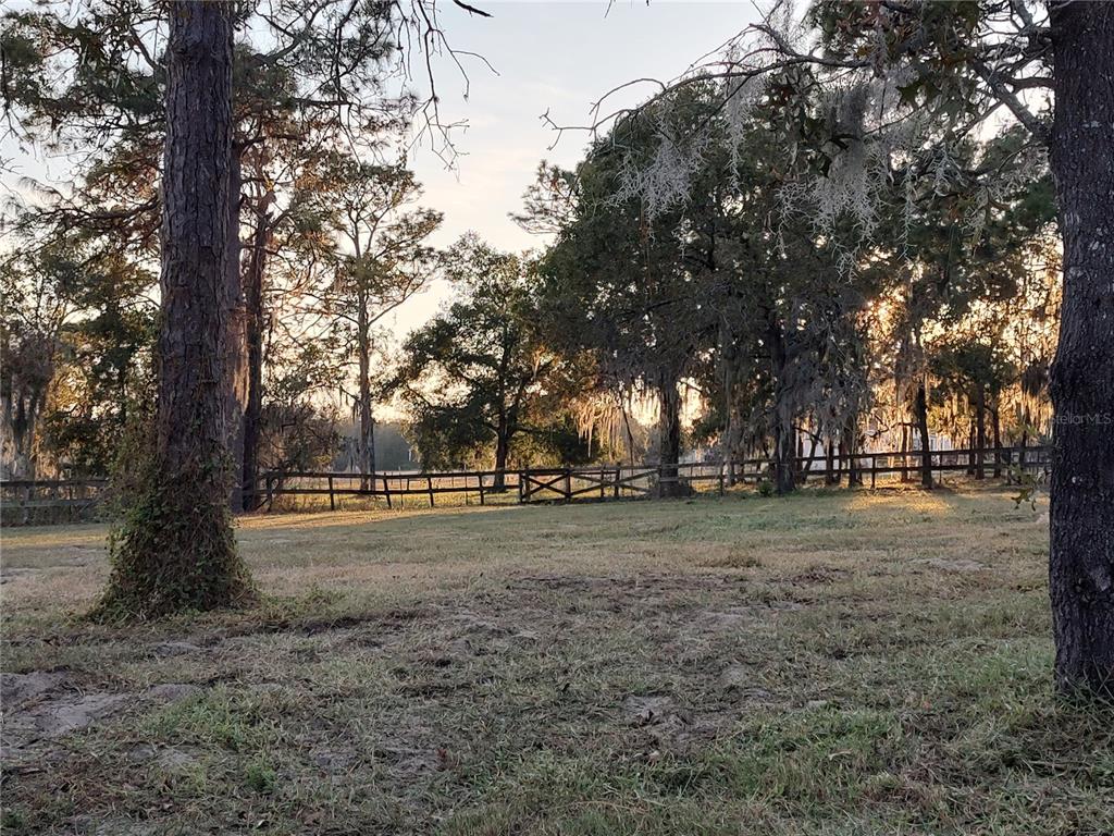 4432 Marion County Road Weirsdale, FL 32195 - Photo 61 of 72