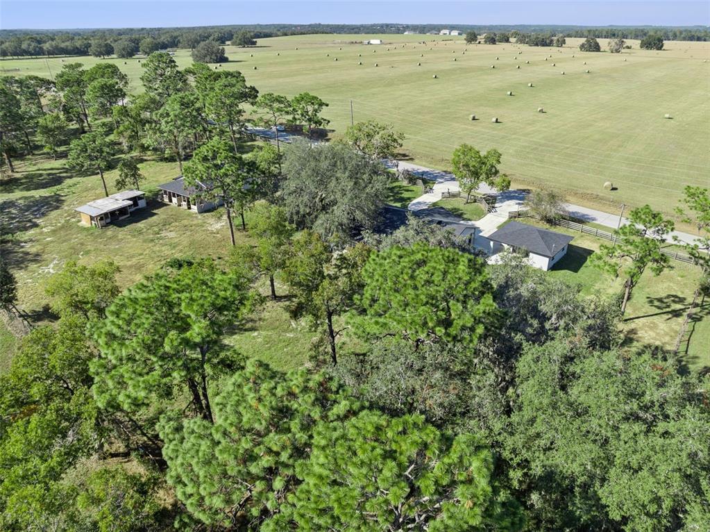 4432 Marion County Road Weirsdale, FL 32195 - Photo 72 of 72