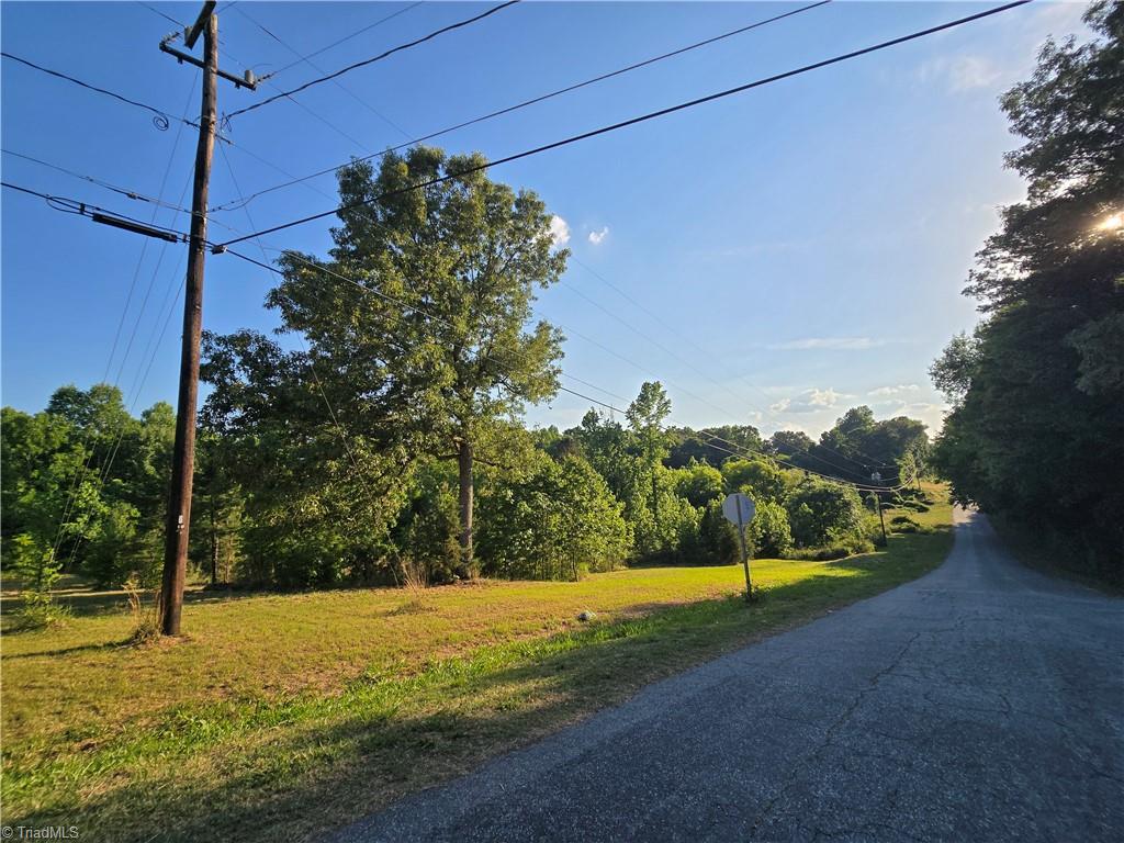 217 Cedar Ridge Road Randleman, NC 27317 - Photo 4 of 18 Property spans 3 telephone poles of road frontage