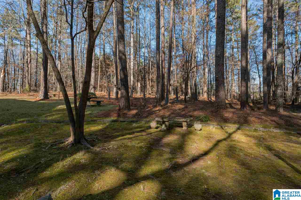 19943 Highway 411 Springville, AL 35146 - Photo 29 of 36