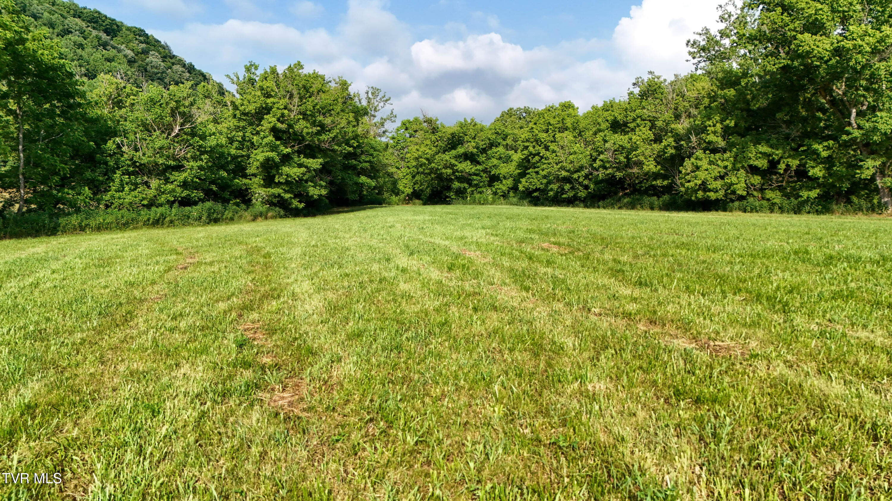Tbd Canebrake Road Abingdon, VA 24210 - Photo 62 of 67 59-print-Canebrake Rd Drone DOM-60