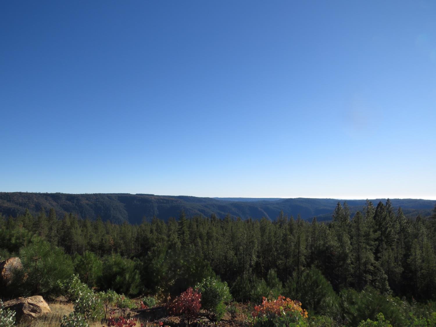 31180 Knob Cone Road Gold Run, CA 95717 - Photo 59 of 70