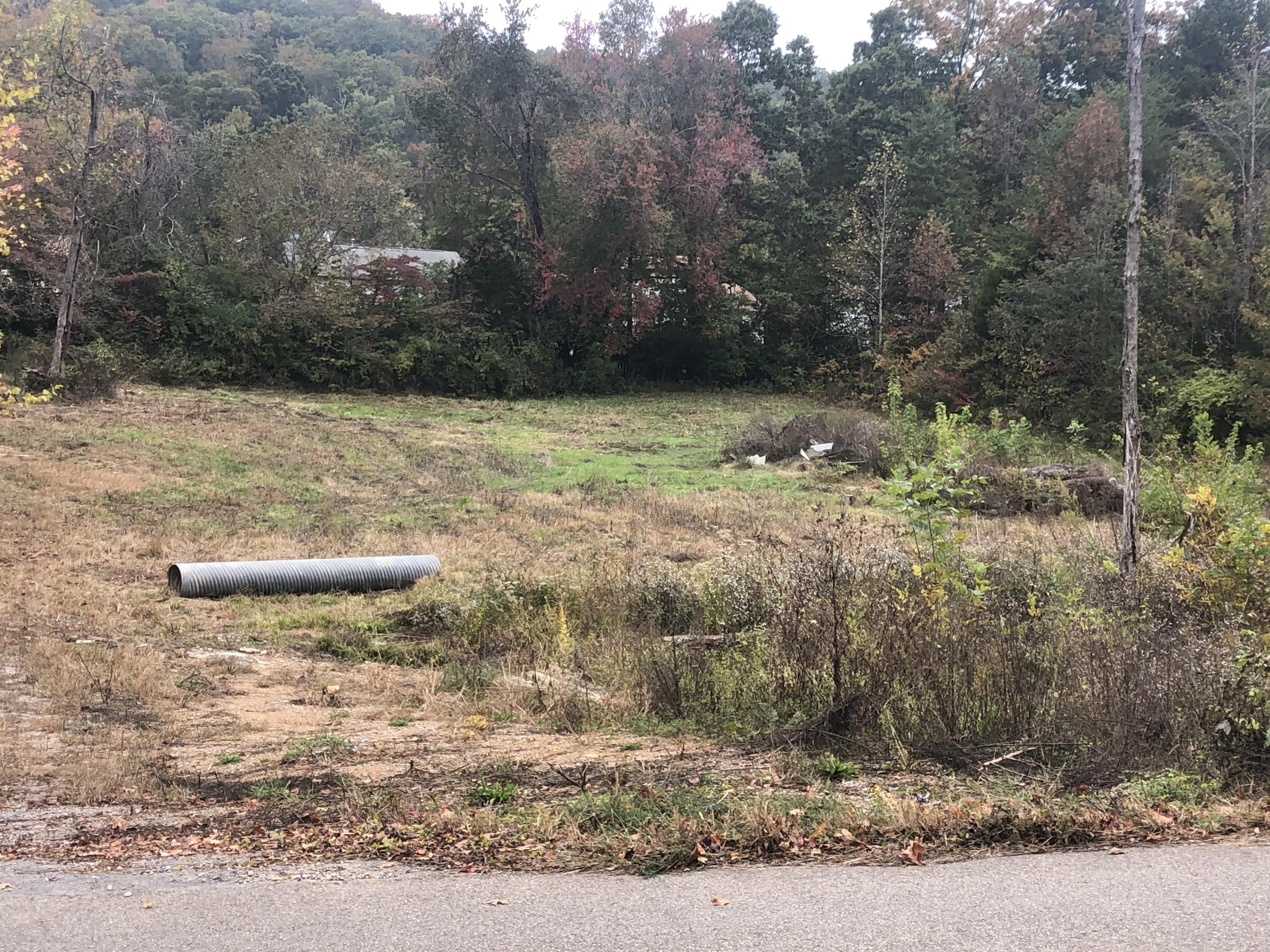 Beaver Ridge Road Knoxville, TN 37931 - Photo 2 of 8 IMG-2950