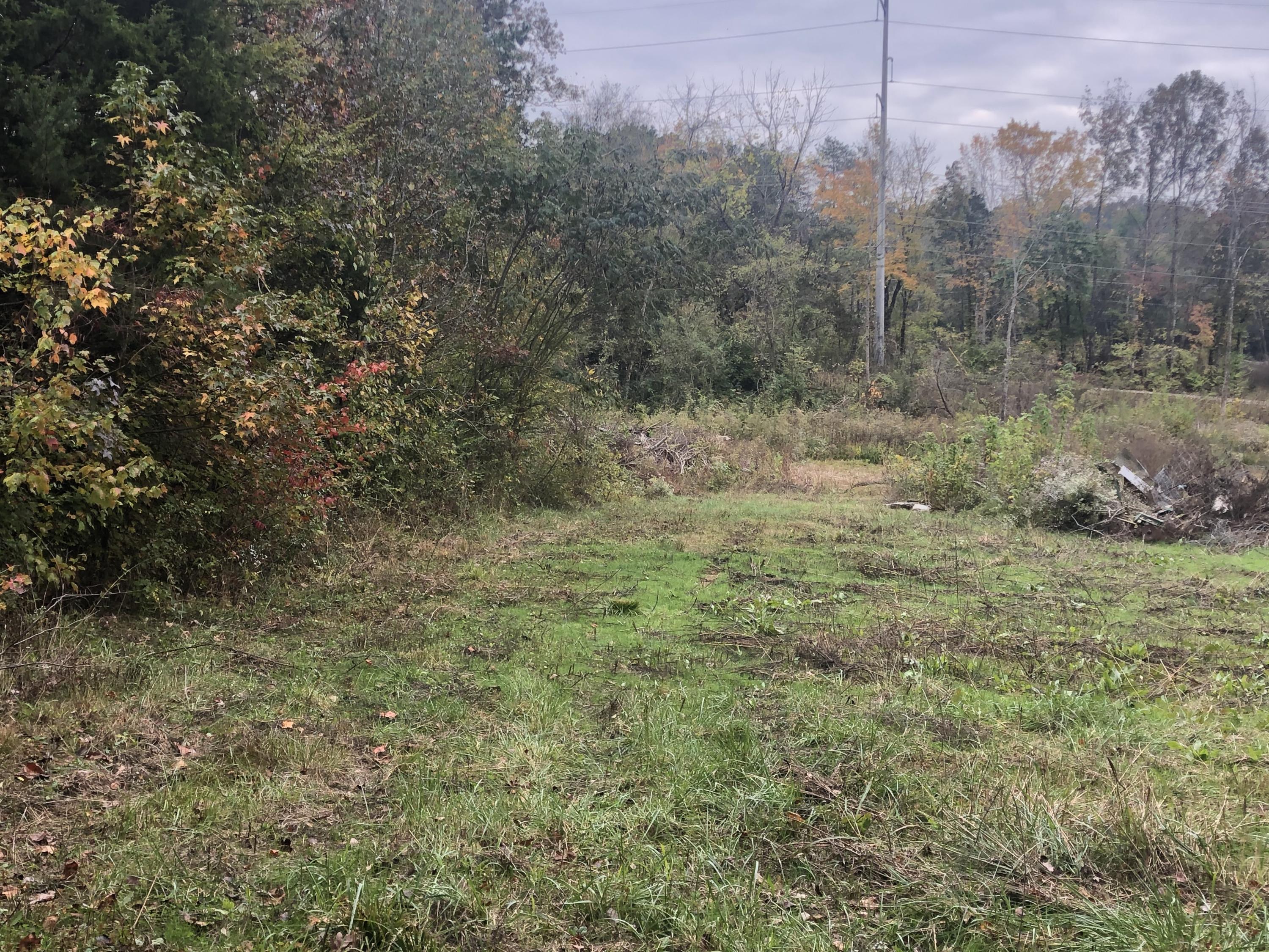 Beaver Ridge Road Knoxville, TN 37931 - Photo 3 of 8 IMG-2960