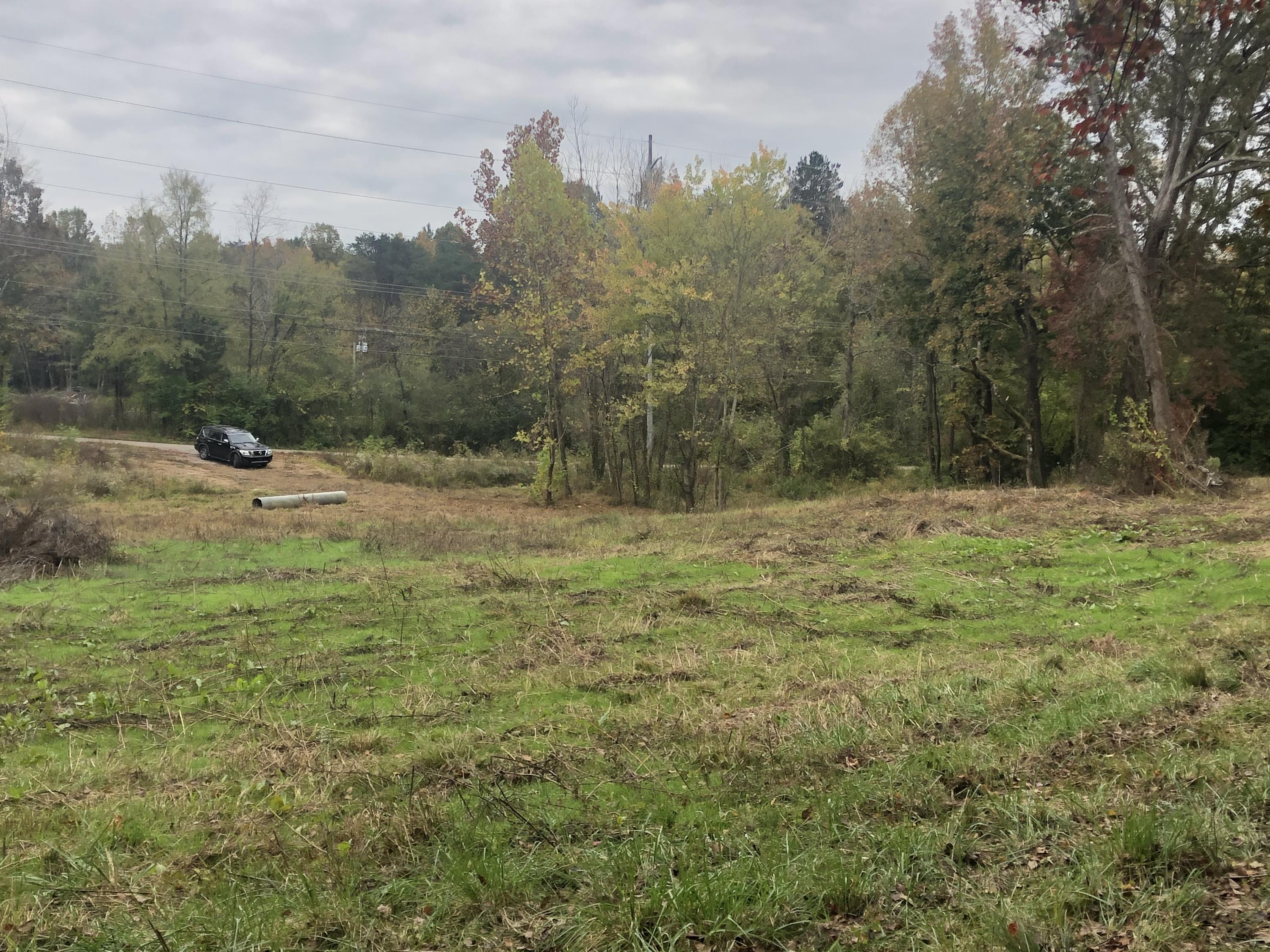 Beaver Ridge Road Knoxville, TN 37931 - Photo 6 of 8 IMG-2958