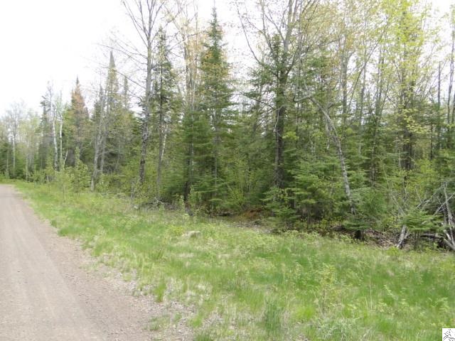 Xxx Tomahawk Point Road Duluth, MN 55803 - Photo 3 of 6