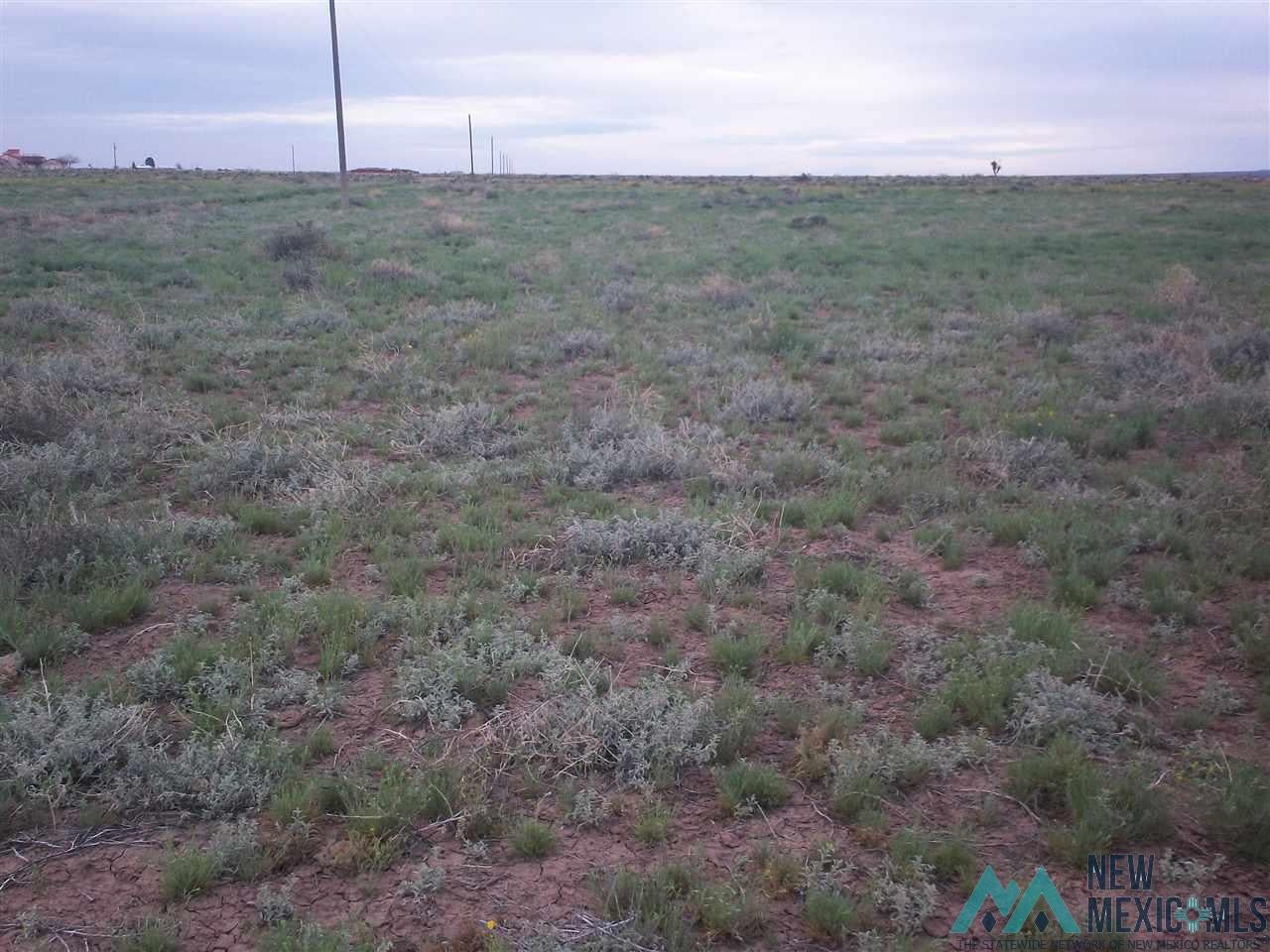 X Cholla Road Southeast Deming, NM 88030 - Photo 1 of 1 Gallery Image 1