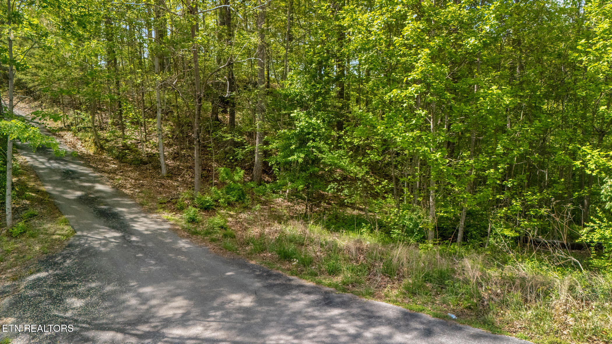 Lot 66 Redtail Road Sevierville, TN 37862 - Photo 12 of 12 dji_20250423153122_0900_d