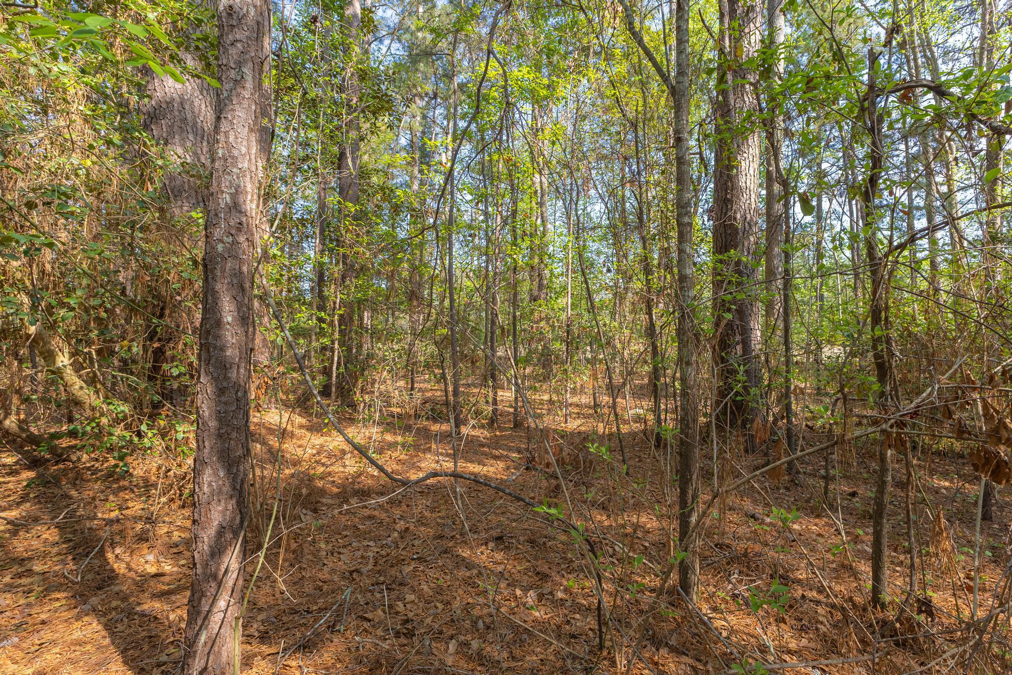 2095 Wire Road Aiken, SC 29805 - Photo 20 of 22