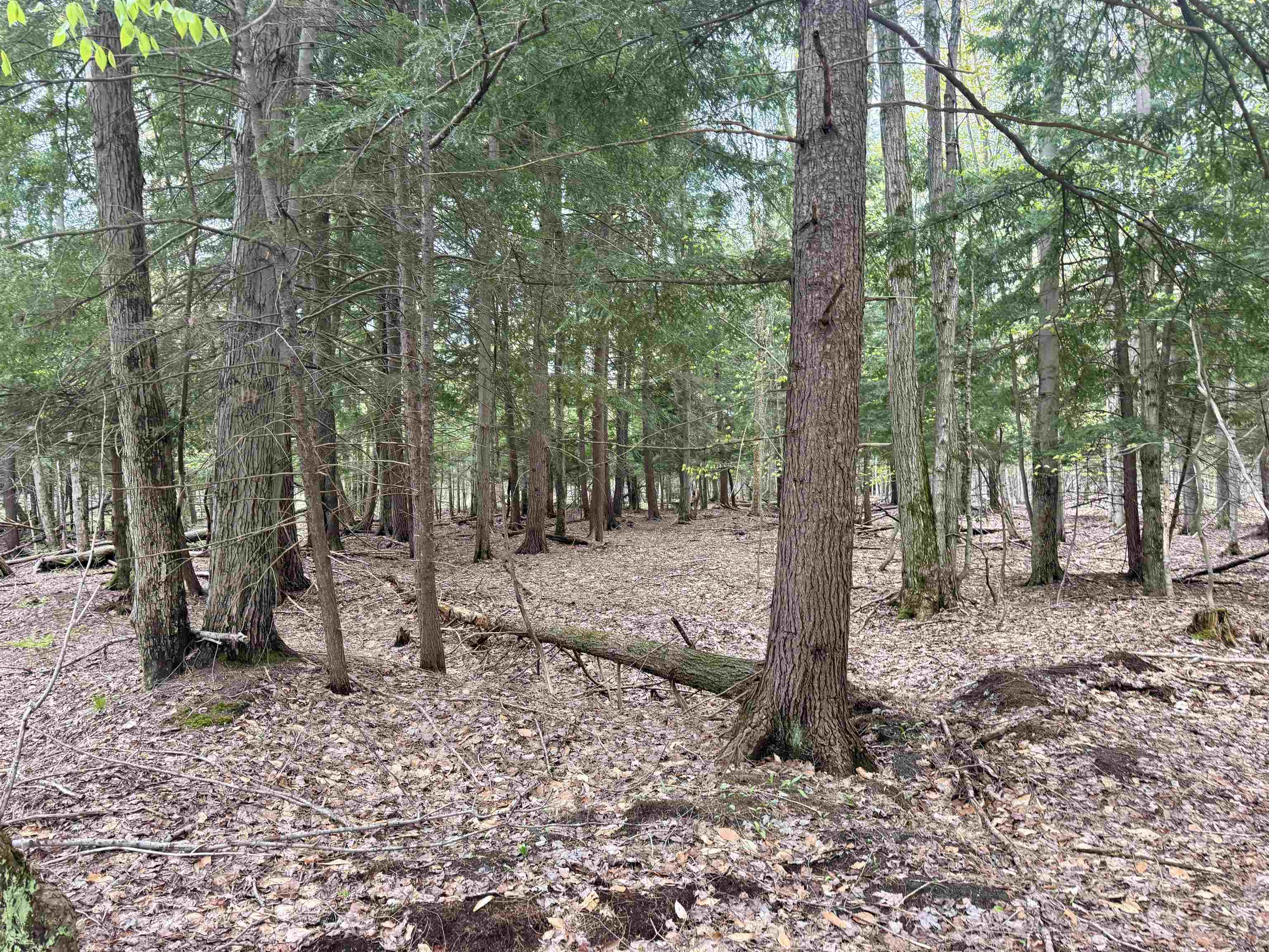 6639 Fall Road Grawn, MI 49637 - Photo 20 of 24