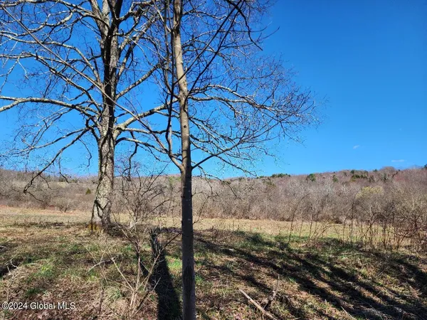 $50,000 | L6 Lang Rd Summit, Summit, NY 12175