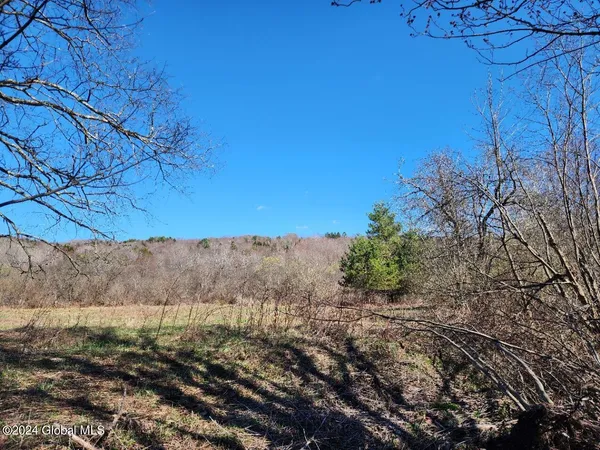 $50,000 | L6 Lang Rd Summit, Summit, NY 12175