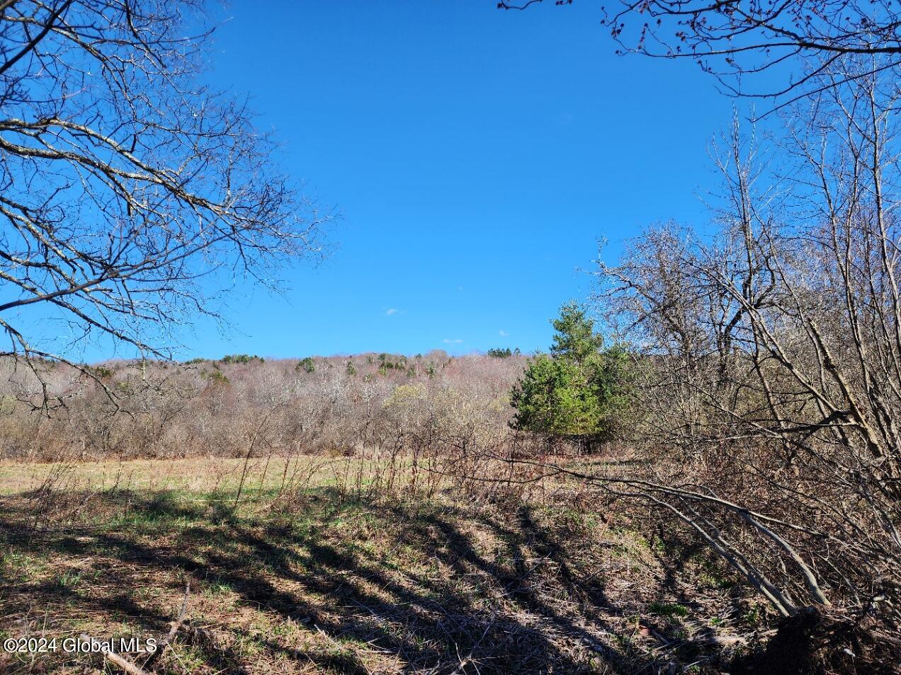 L6 Lang Rd Summit Summit, NY 12175 - Photo 4 of 12 20240416_154953