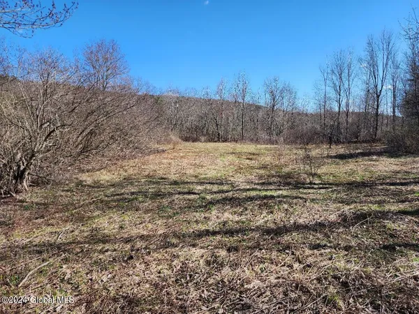 $50,000 | L6 Lang Rd Summit, Summit, NY 12175