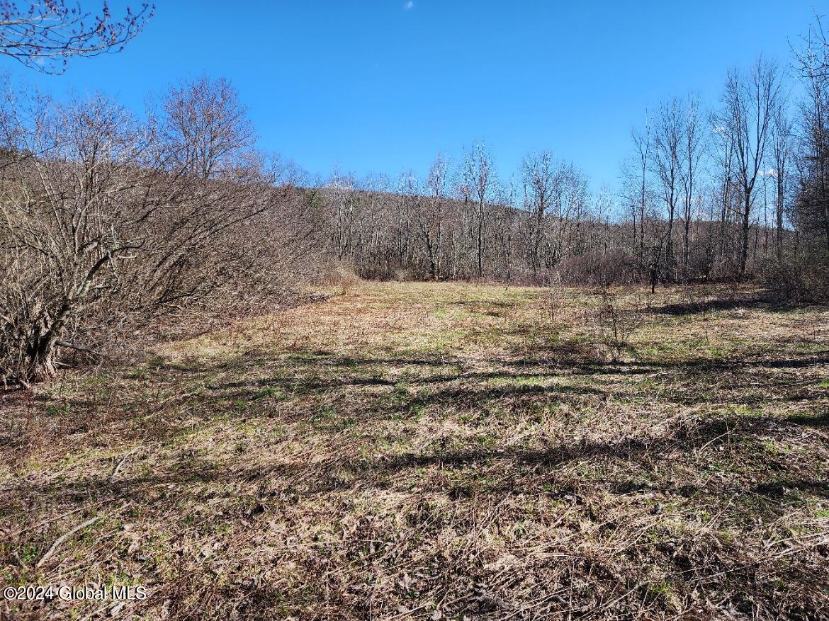 L6 Lang Rd Summit Summit, NY 12175 - Photo 5 of 12 20240416_155028