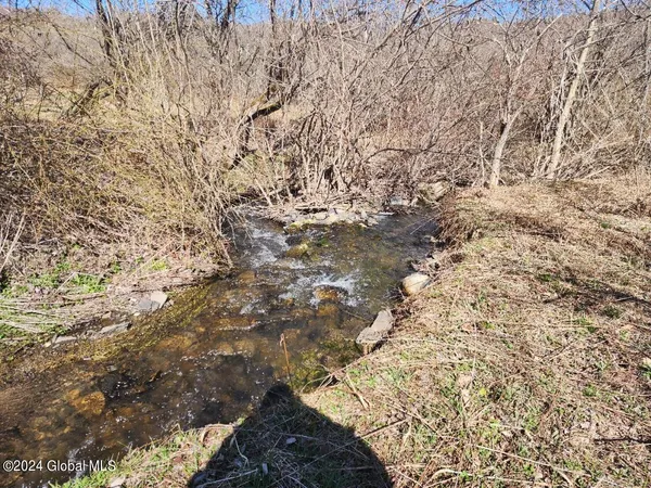 $50,000 | L6 Lang Rd Summit, Summit, NY 12175