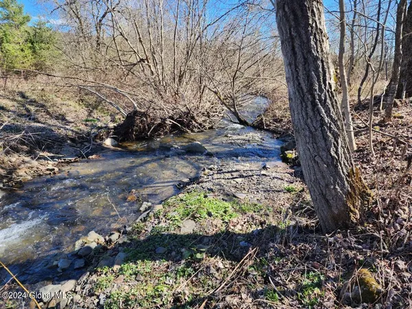 $50,000 | L6 Lang Rd Summit, Summit, NY 12175