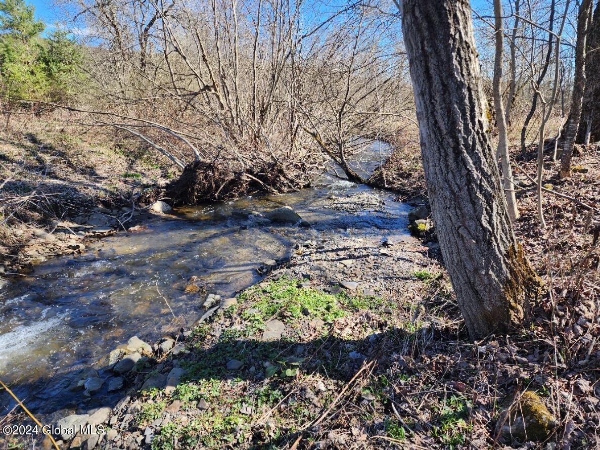 L6 Lang Rd Summit Summit, NY 12175 - Photo 8 of 12 20240416_154807