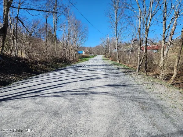 $50,000 | L6 Lang Rd Summit, Summit, NY 12175