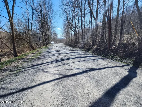 $50,000 | L6 Lang Rd Summit, Summit, NY 12175