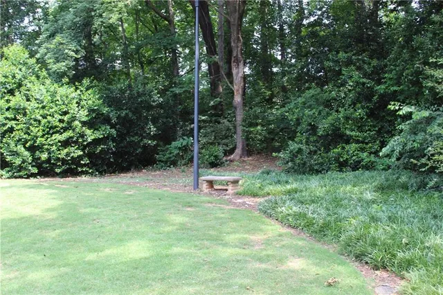 a view of a park with a tree