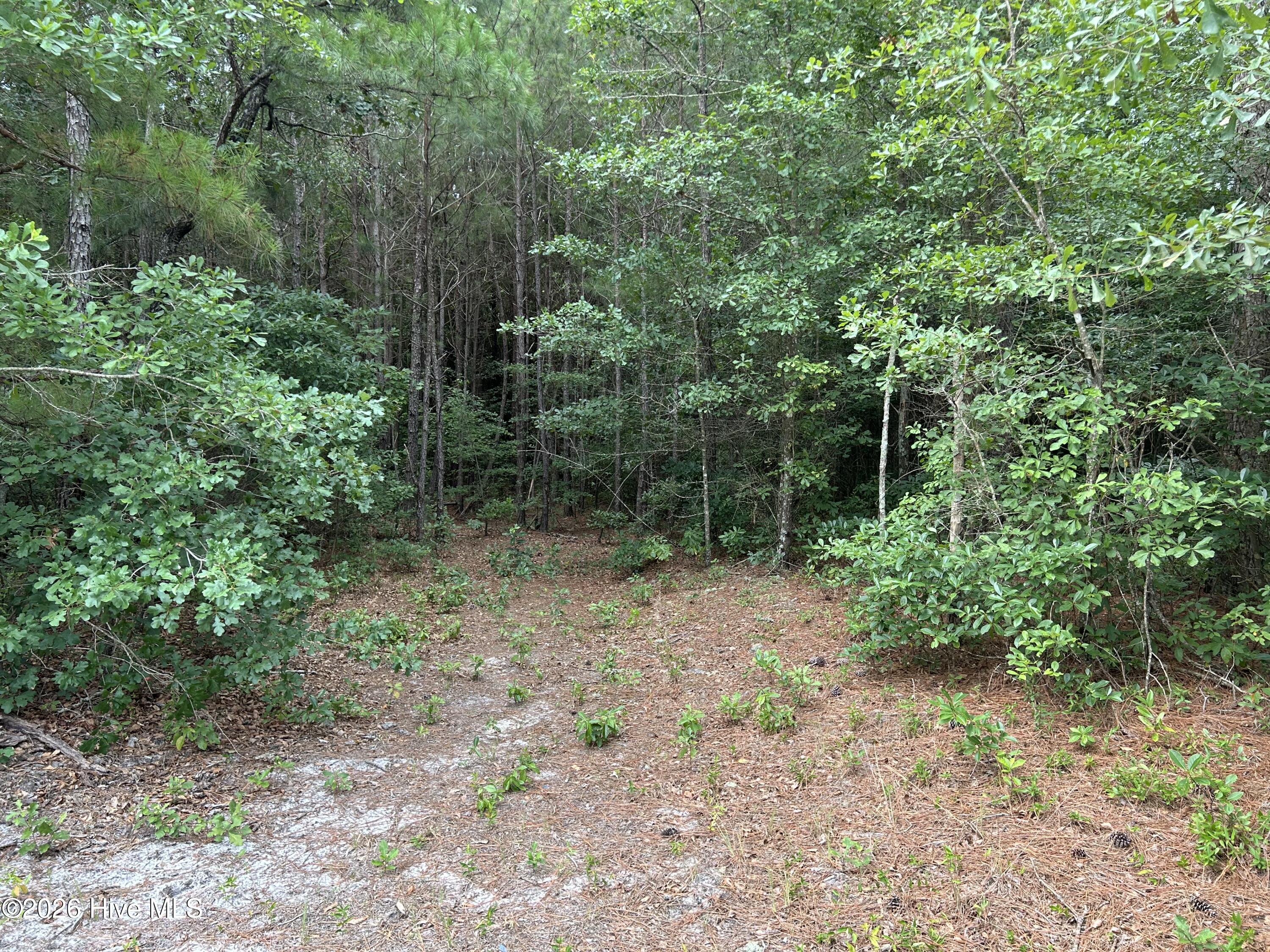 0 Autrytown Road Elizabethtown, NC 28337 - Photo 42 of 51 Gallery Image 42