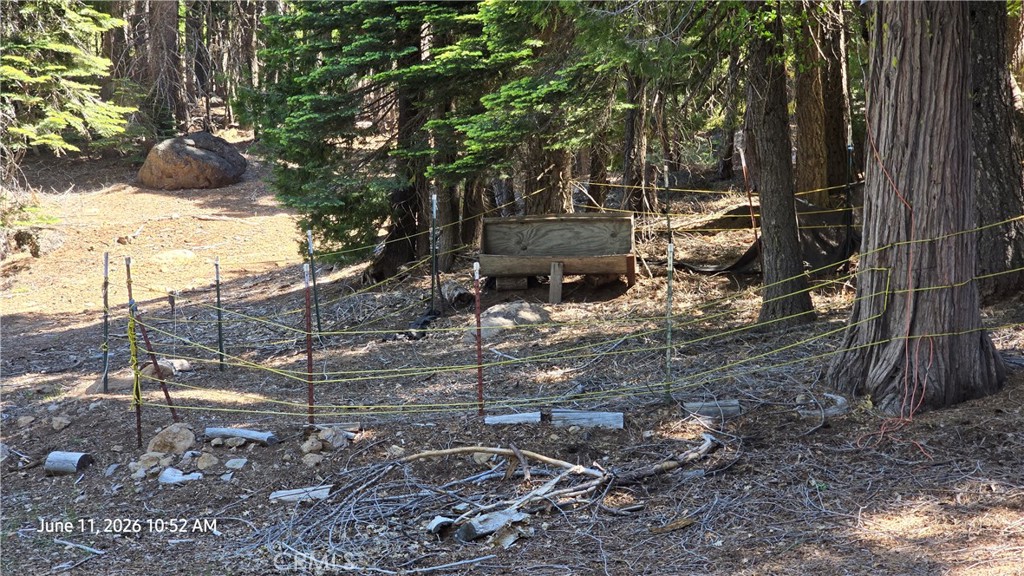 0 Fish Creek Forest Ranch, CA 95942 - Photo 28 of 43 Horse Pen