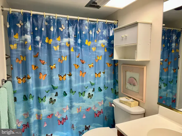 a white toilet sitting next to a shower curtain