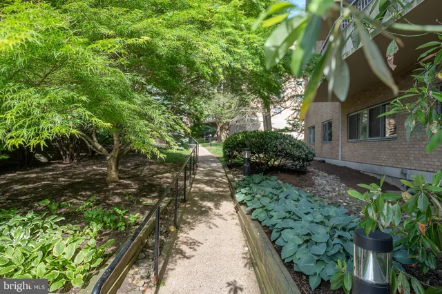 a backyard of a house with a garden and plants