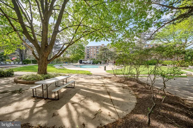 a view of a yard with plants and large trees