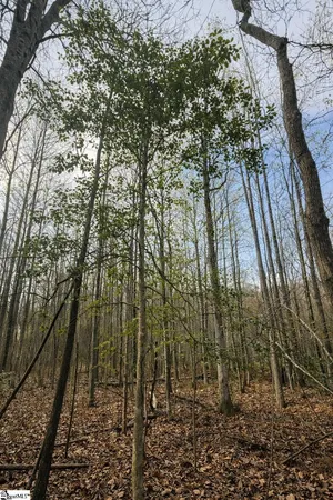 $164,500 | 0 Circle Road, Easley, SC 29642