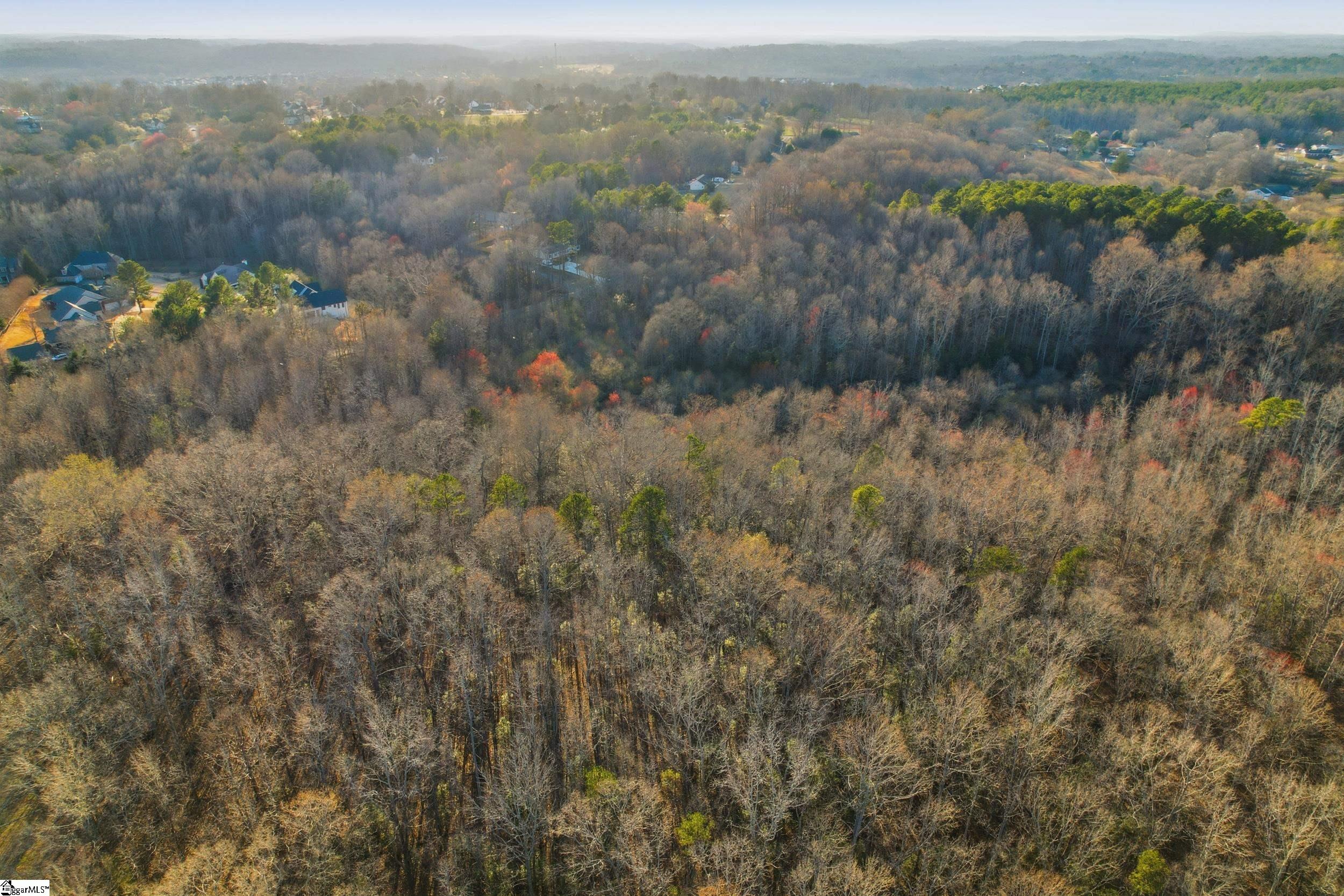 0 Circle Road Easley, SC 29642 - Photo 9 of 13