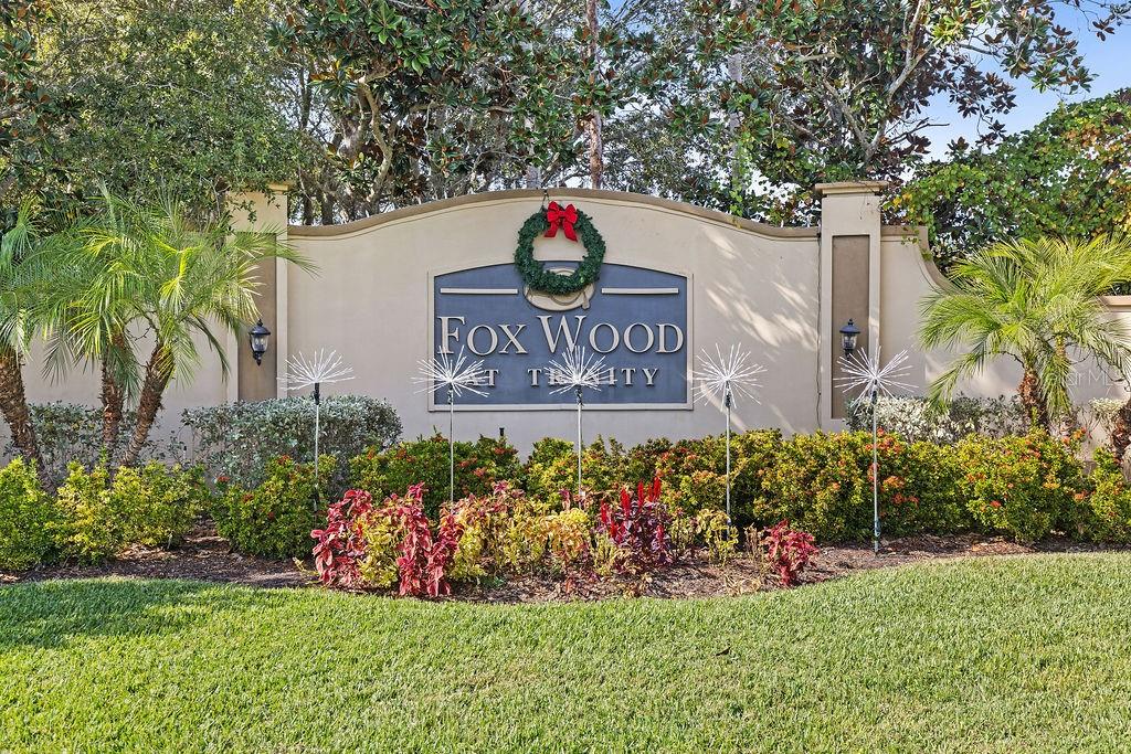 1708 Crossvine Court Trinity, FL 34655 - Photo 34 of 47