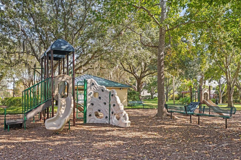 1708 Crossvine Court Trinity, FL 34655 - Photo 36 of 47