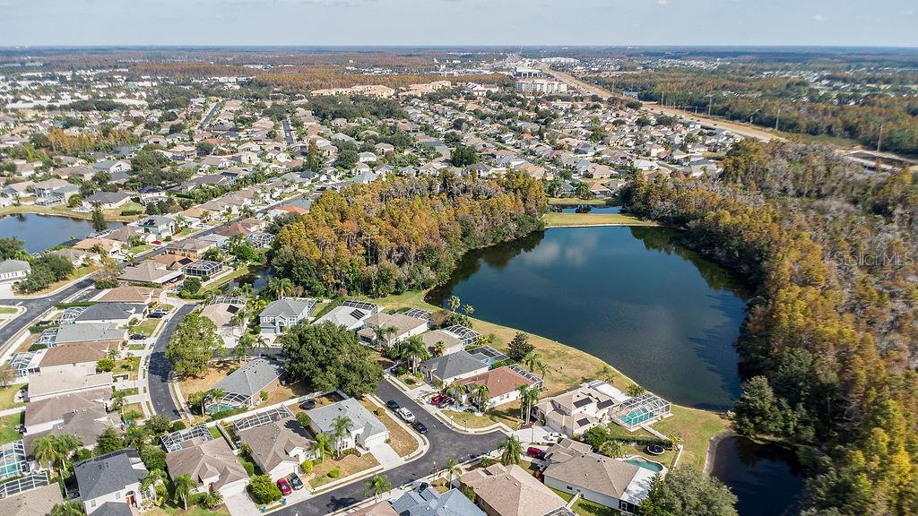 1708 Crossvine Court Trinity, FL 34655 - Photo 47 of 47