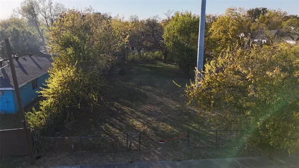 a view of a yard
