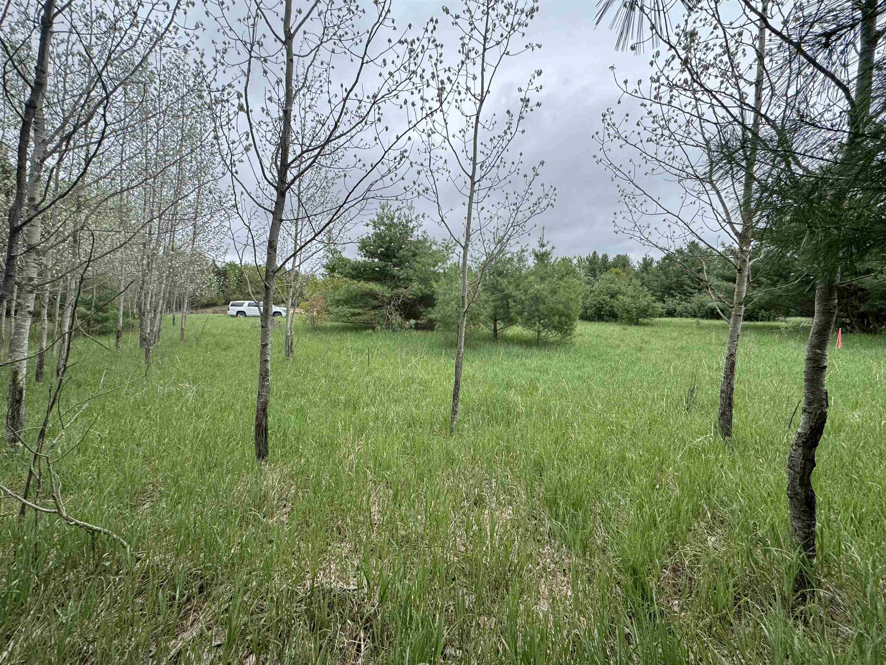 Lot #7 East Bellinger Road, Unit E HIGHLAND WOODS BELLIN Cedar, MI 49621 - Photo 11 of 20