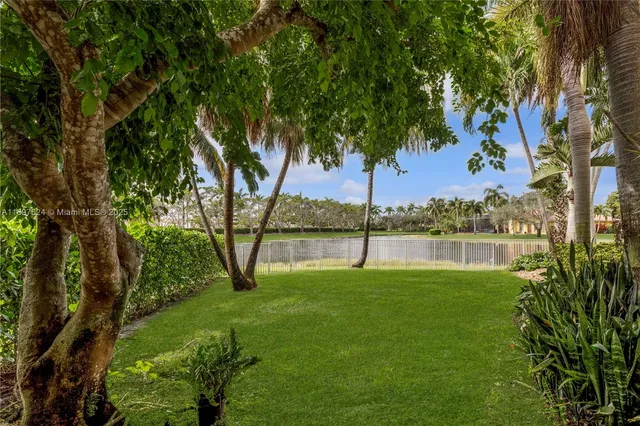 a view of an outdoor space and a yard