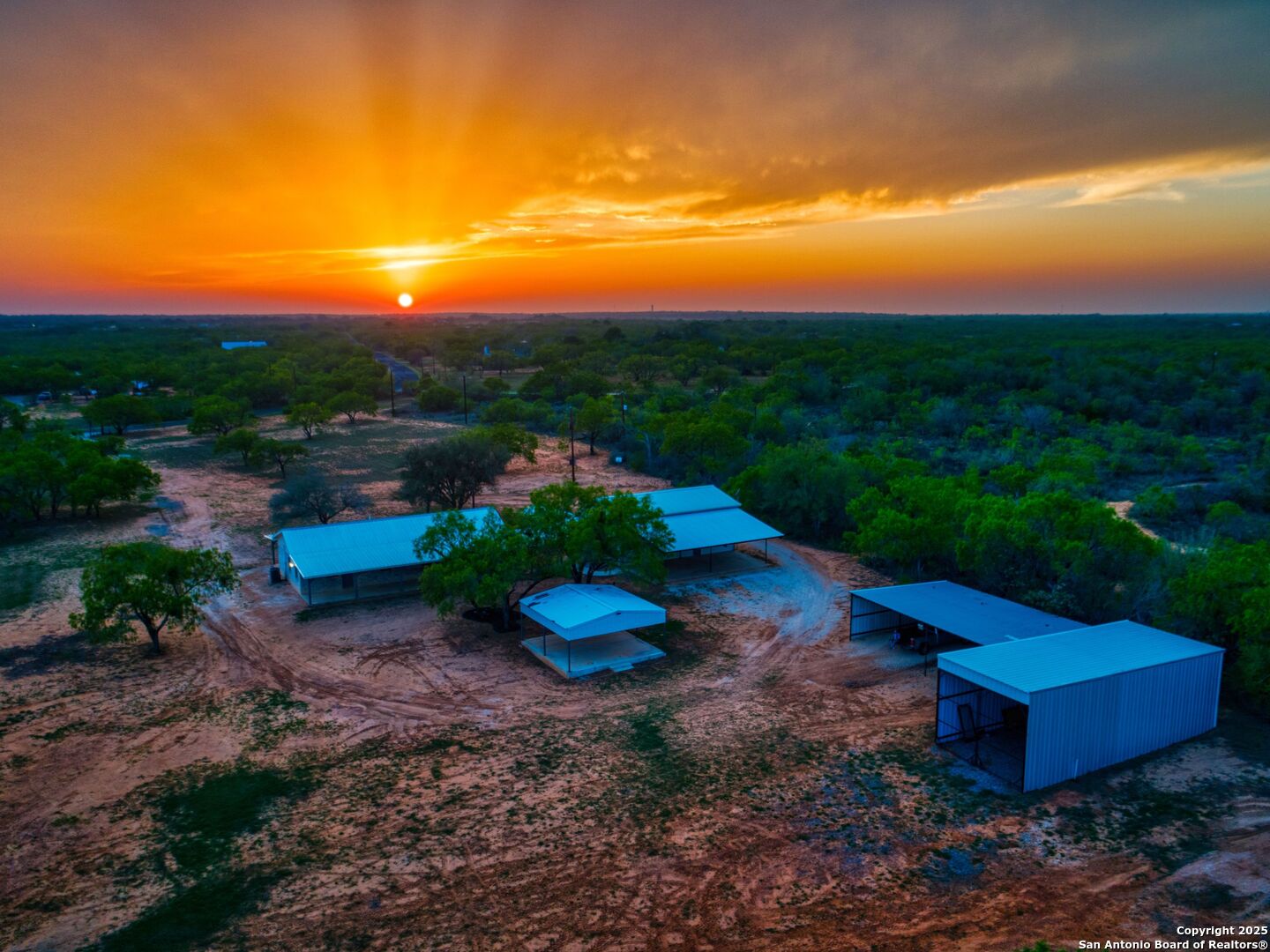 a view of a backyard with plants and a garden