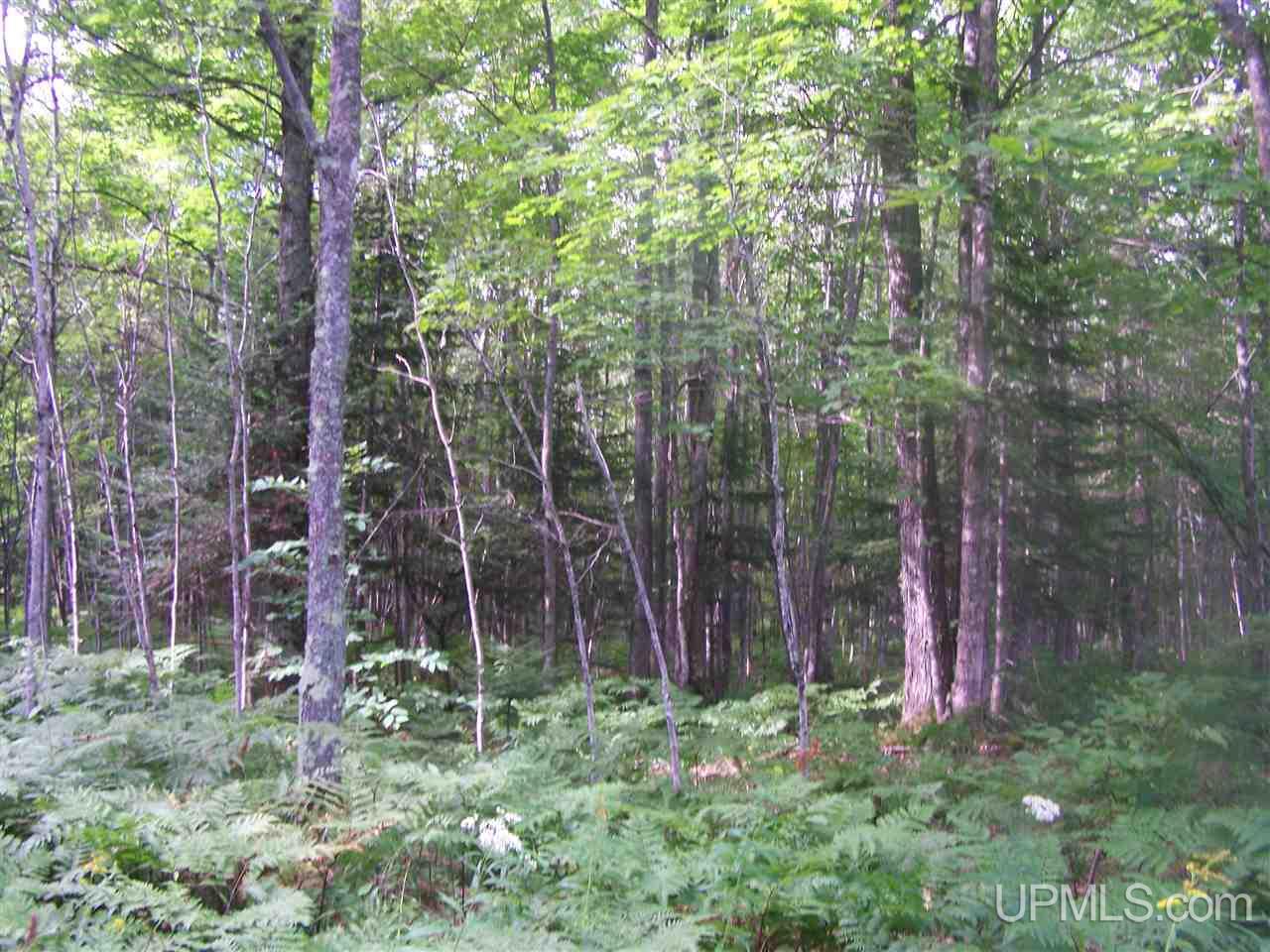 C-wi Park Road Hurley, WI 54534 - Photo 27 of 27