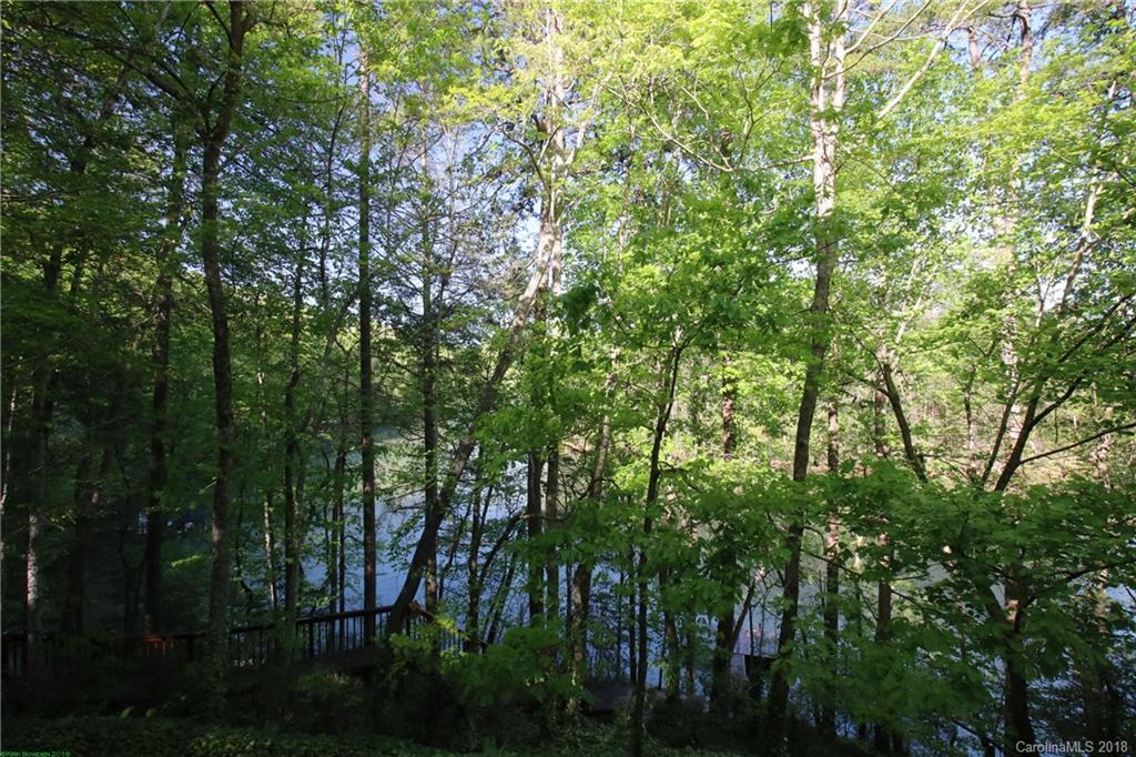 95 Island View Court Mill Spring, NC 28756 - Photo 23 of 28 Gallery Image 23