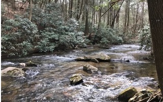 Bushy Head Court Cherry Log, GA 30522 - Photo 1 of 4 Main View