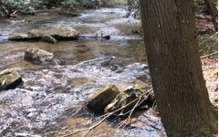 Bushy Head Court Cherry Log, GA 30522 - Photo 2 of 4 Additional View