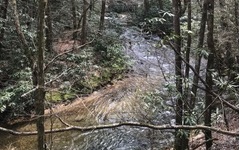 Bushy Head Court Cherry Log, GA 30522 - Photo 3 of 4 Additional View