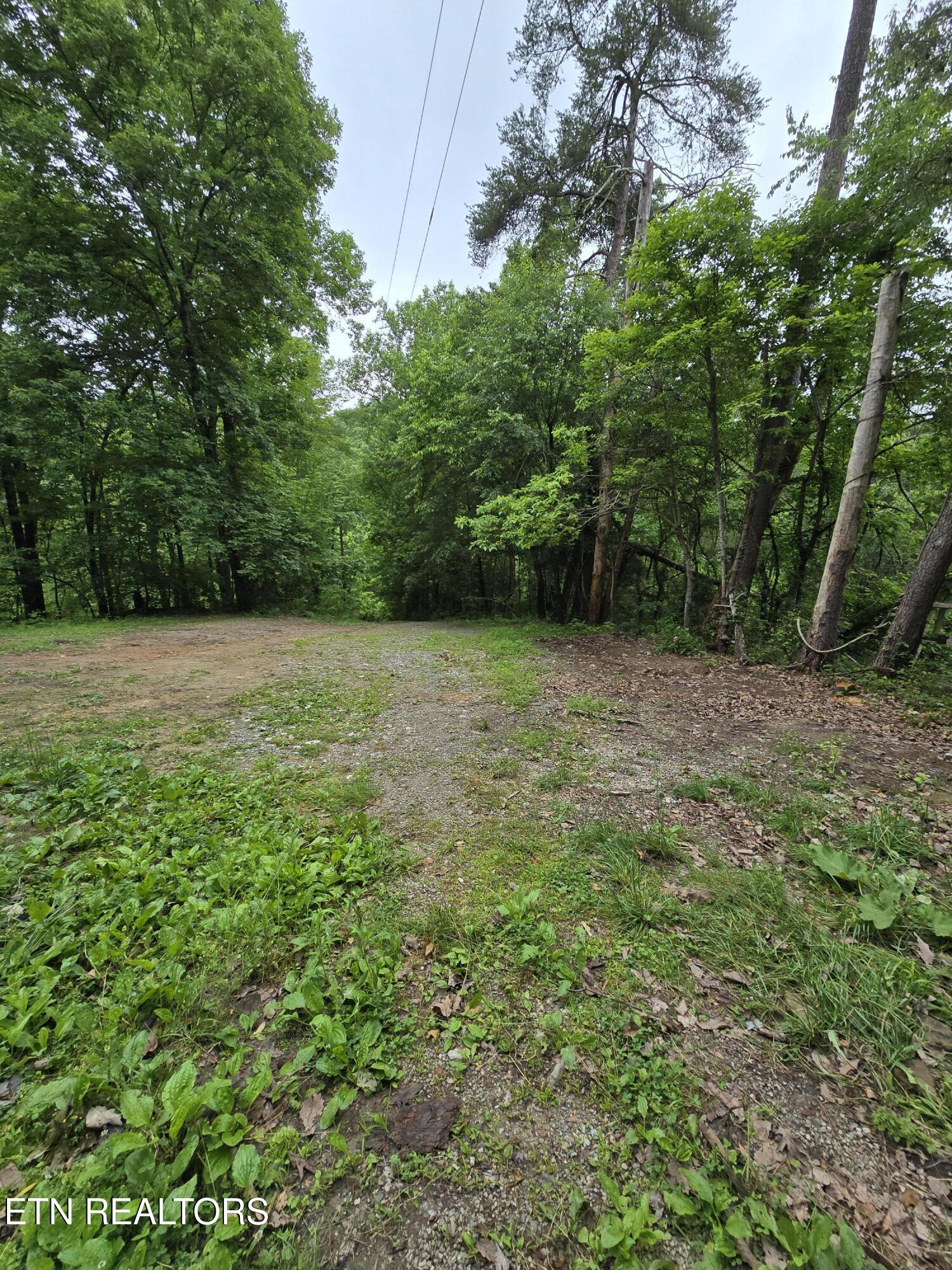 689 Ivey Hollow Road La Follette, TN 37766 - Photo 11 of 12 1000007098