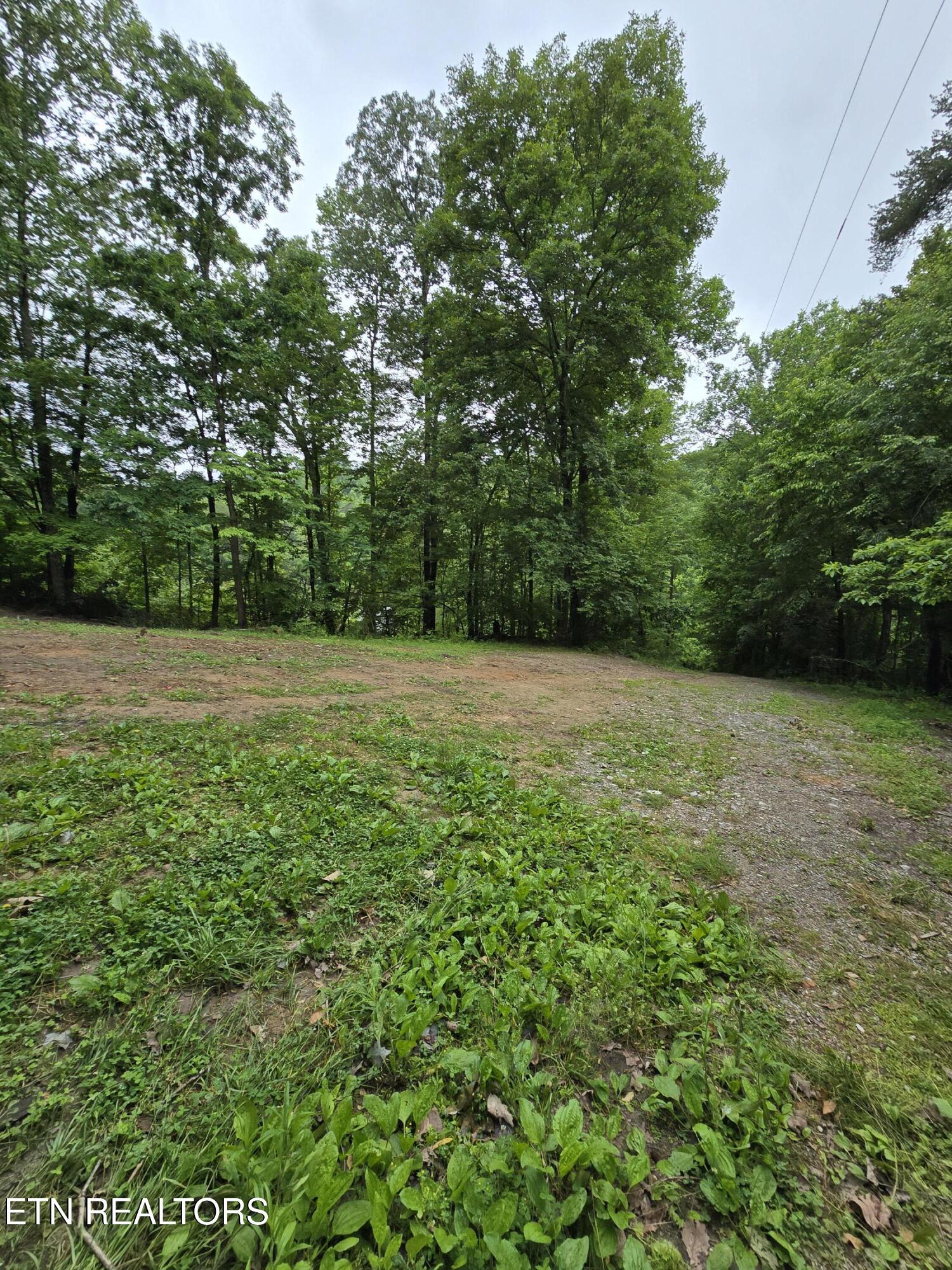 689 Ivey Hollow Road La Follette, TN 37766 - Photo 12 of 12 1000007097