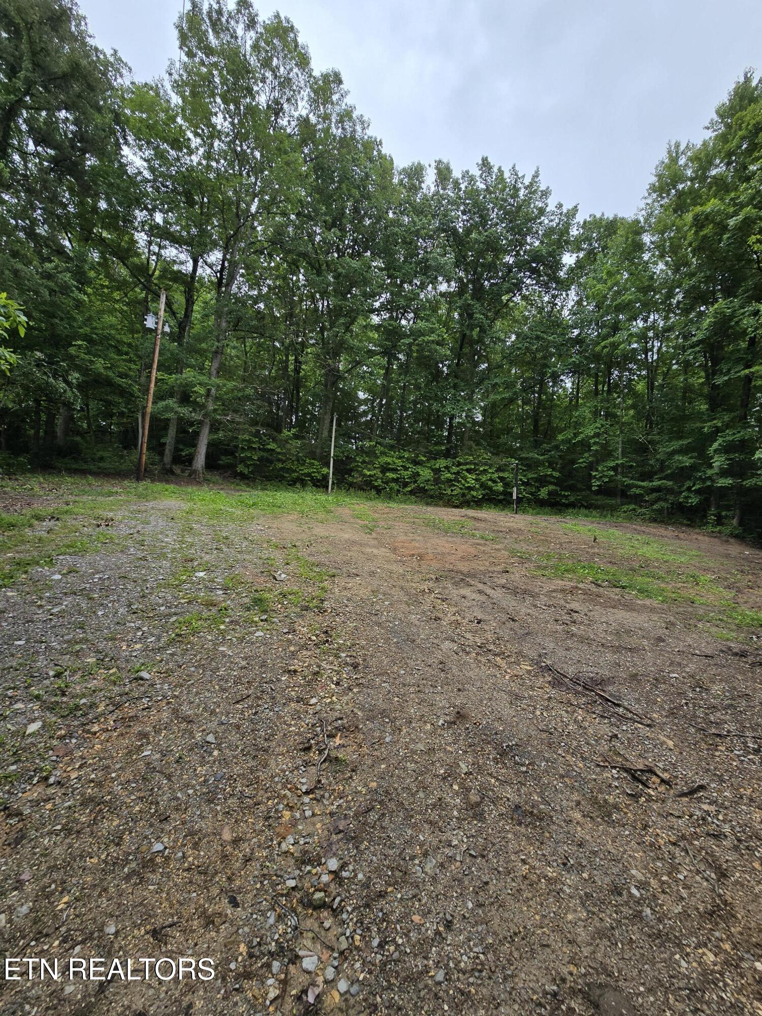 689 Ivey Hollow Road La Follette, TN 37766 - Photo 2 of 12 1000007088