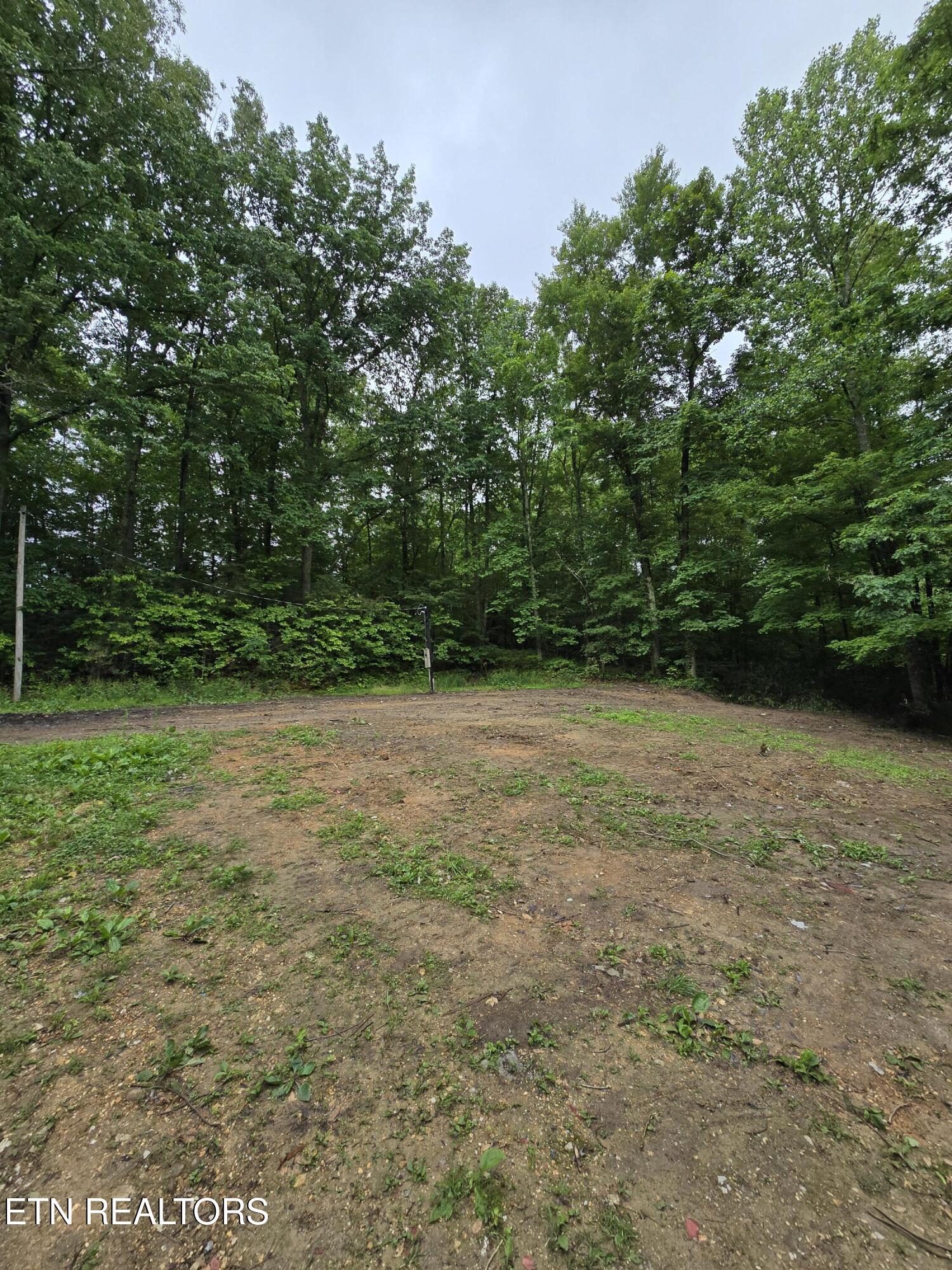 689 Ivey Hollow Road La Follette, TN 37766 - Photo 4 of 12 1000007092