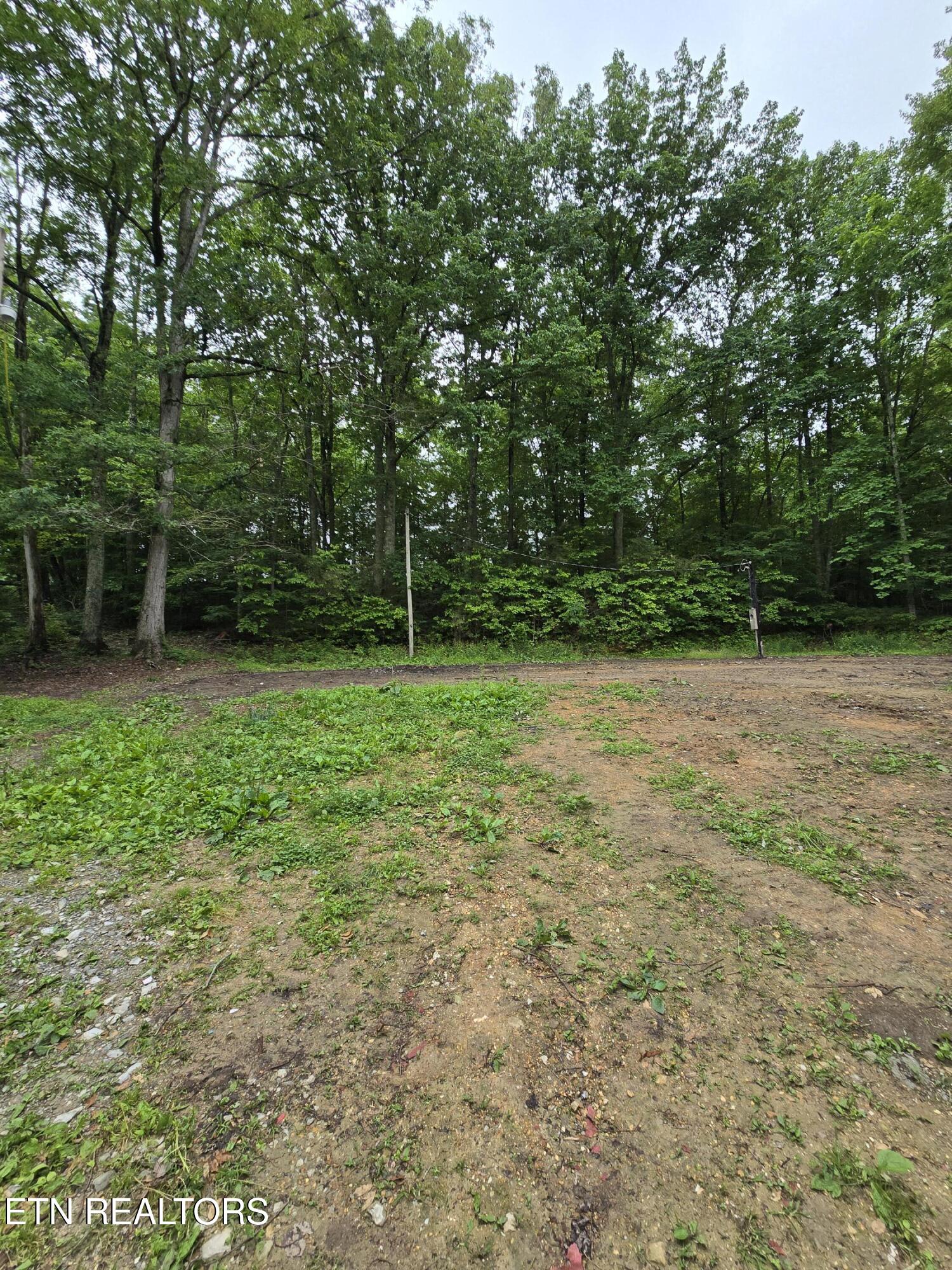689 Ivey Hollow Road La Follette, TN 37766 - Photo 5 of 12 1000007091